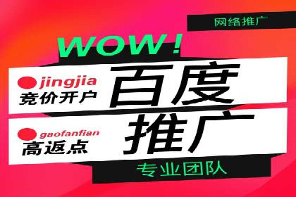 初学者的百度竞价推广：成功案例揭秘